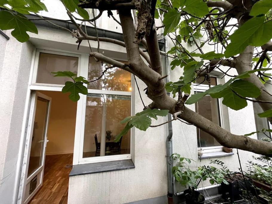 Cosy & Central Flat Near Duesseldorf Center מראה חיצוני תמונה